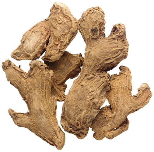 Ginger